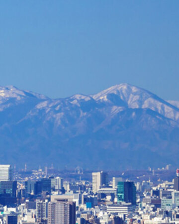 The graphic shows a bright design with a cityscape of Tokyo, skyscrapers, a tall tower and snow-capped mountains in the background.